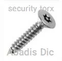 security torx